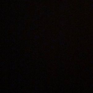 Meet your Posher, Leonardo